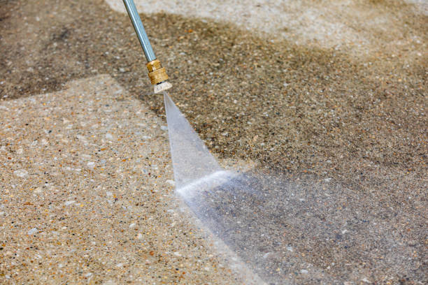 Best Animal Enclosure Cleaning  in Inverness Highlands South, FL